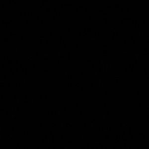 Meet your Posher, Darian